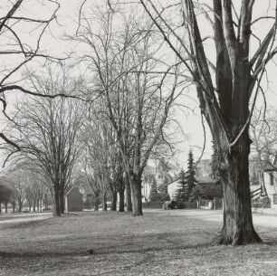 Park, Markkleeberg