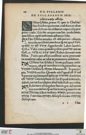 De syllabarum Servilium varijs officijs