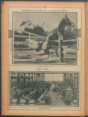 Notable fotografía de un accidente hípico