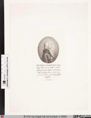 Bildnis Peter Simon Pallas