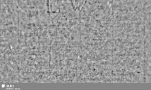 Lilienschild + IESV / LW = S.55/56
