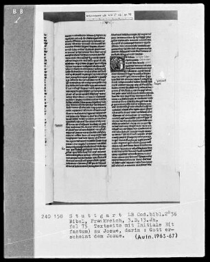 Bibel — Initiale E (xultate deo), darin David am Glockenspiel, Folio 216recto