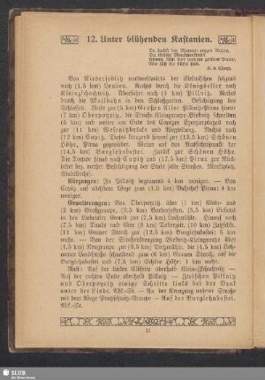 12. Unter blühenden Kastanien