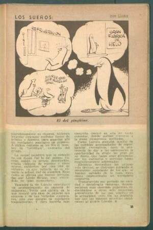 Los sueños: el del pingüino