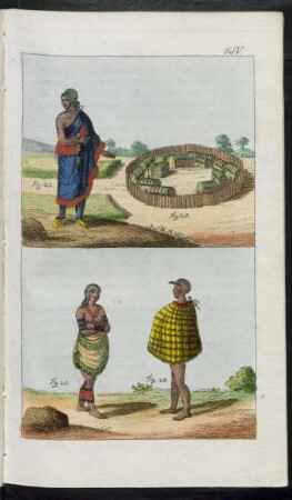 Taf. VI. [Illustration falsch beziffert mit Taf. V.] Fig. 22. - Fig. 25