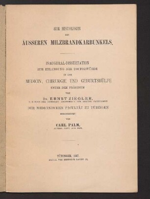 Zur Histologie des äusseren Milzbrandkarbunkels