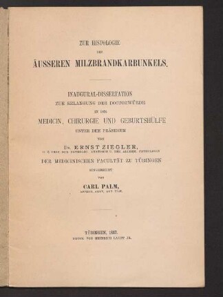 Zur Histologie des äusseren Milzbrandkarbunkels