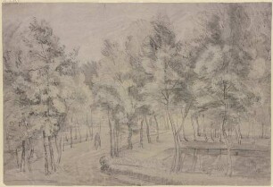 Ein Weg schlängelt sich an einem Teich vorbei durch eine junge Baumanlage, auf demselben ein Reiter