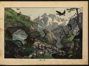 Tafel 19.: Mai, h.