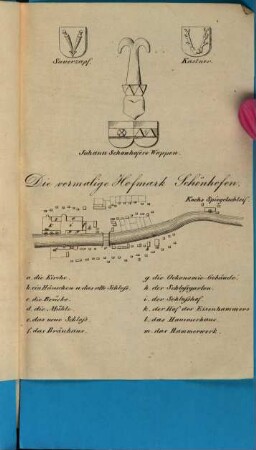 Der Hammer zu Schönhofen : statistisch-historisch-topographisch beschrieben