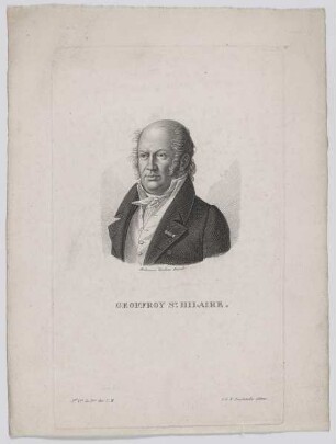 Bildnis des Etienne Geoffroy St. Hilaire