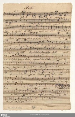 Basso. [Ripieno]