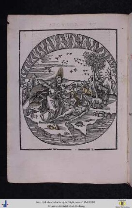 Liber VIII. De Principiis Rerum Naturalium.