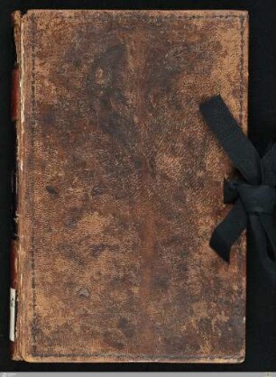 Stammbuch Johann Friedrich Wepfer - Cod.hist.oct.311