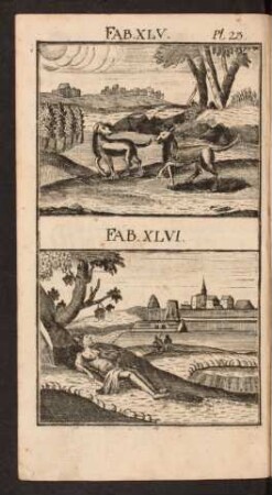 Pl. 23. Fab. XLV. Fab. XLVI.