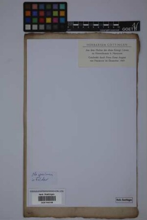 No specimen in folder