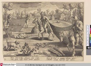 [Wachtel- und Kaninchenjagd; Quail and rabbit hunt]