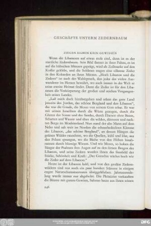 Geschäfte Unterm Zedernbaum