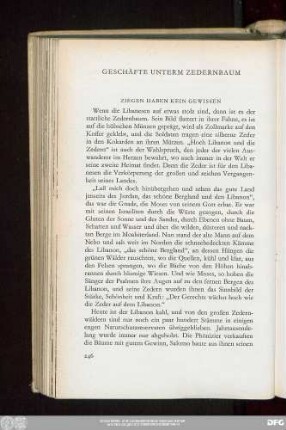 Geschäfte Unterm Zedernbaum