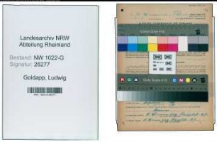 Entnazifizierung Ludwig Goldapp , geb. 31.01.1896 (Meister)