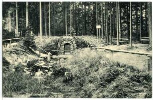Grillenburg. Grillenburger Wald, Warnsdorfer Quelle