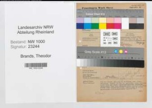 Entnazifizierung Theodor Brands, geb. 01.03.1901 (Telegr. Aufseher)