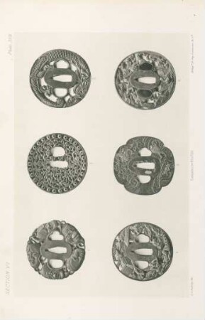 Plate XVII.