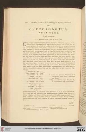XLI. Caput ignotum / XLI. Testa ignota