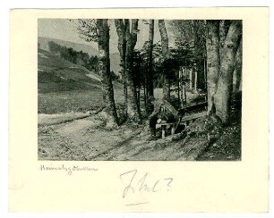 o.Nr.: Heimatgedanken (Vorabdruck, mit Zensurvermerk vom 15.11.1916 Nr. 158) = unten Nr. 11