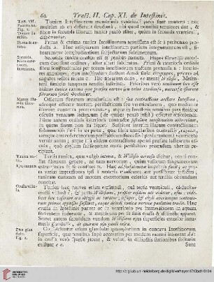 Cap. XI: De Intestinis