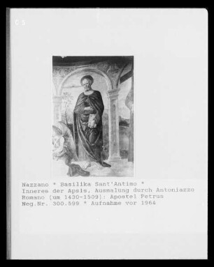 Apostel Petrus