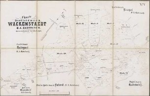 Charte von der Dorffeldmark Wackenstaedt D.A. Gadebusch