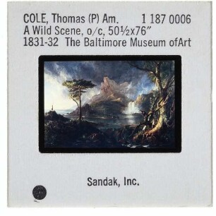 Cole, A Wild Scene