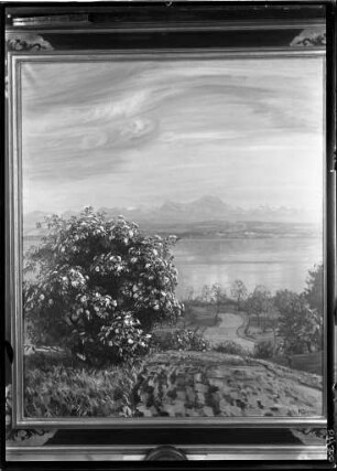 Landschaft am Bodensee