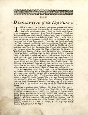 The Description of the First Plate