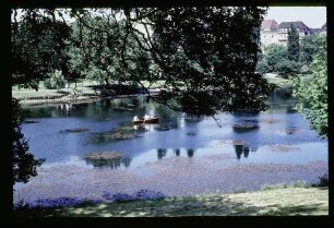 Lietzensee 7.6.64.
