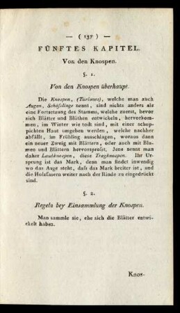 Fünftes Kapitel. Von den Knospen