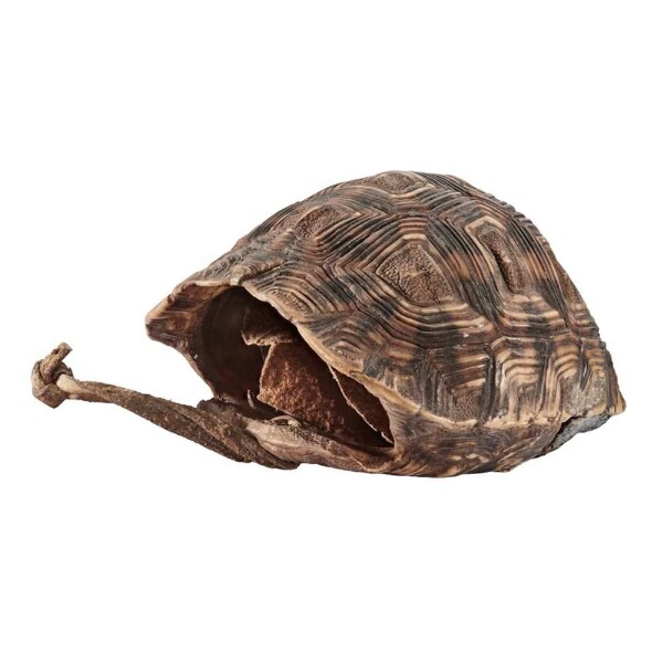 Box made of turtle shell