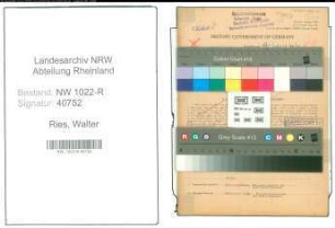 Entnazifizierung Walter Ries , geb. 08.10.1908 (Schlosser)