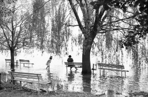 Sipplingen: Überschwemmtes Ufer in Sipplingen