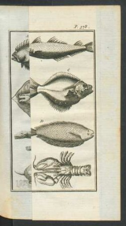 Tafel: Les Poissons &c.