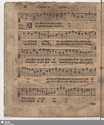IX. Allein Gott in der Höh sei Ehr