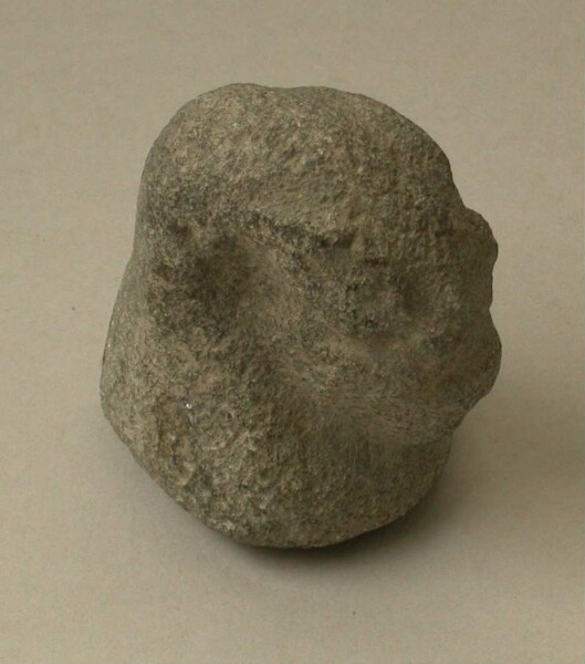 Shape of an animal head