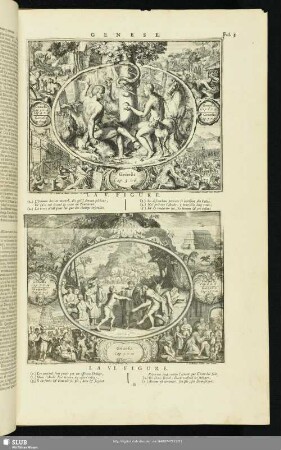 Genese. La VI. Figure