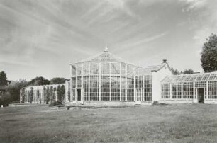 Palmenhaus