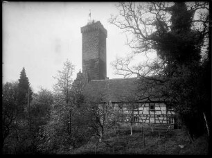 Bödigheim Burg Ansicht von Süden - Blick auf die Burgruine und Bergfried