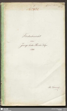 Förderbericht von Junge hohe Birke Fdgr. - 18.7278 2.