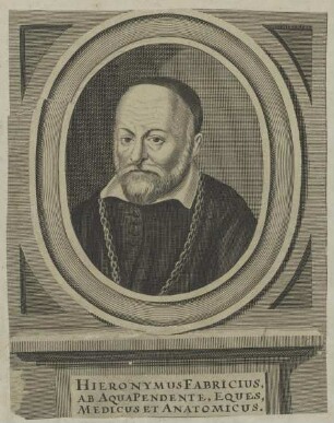 Bildnis des Hieronymus Fabricius ab AquaPendente