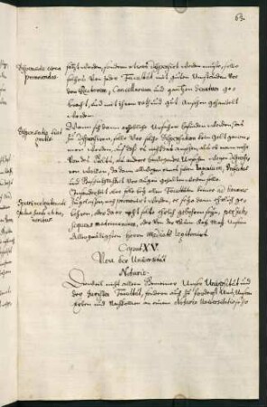 XV. Von der Universität Notario.