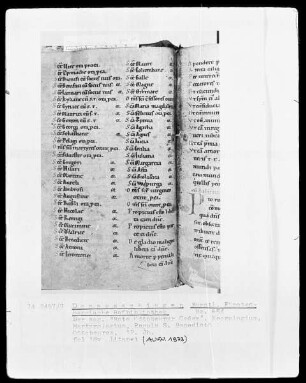 Hs. 654 & Roter Ottobeurer Codex & Necrologium Martyrologium & Regula S. Benedicti & fol 18